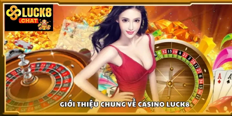 Chơi Poker Luck8 Chi Tiết Cho Người Mới Bắt Đầu 3 Các hành động có thể thực hiện khi tới lượt chơi